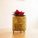 Family Friendly In The Center 公寓 *