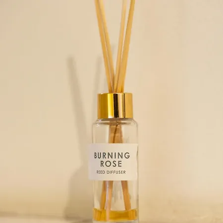 Apartment Family Friendly In The Center *