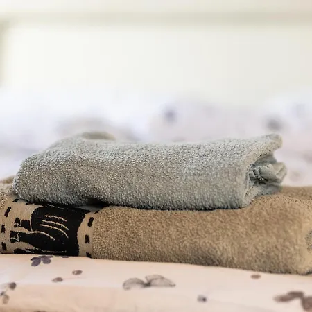 Family Friendly In The Center Apartment Laibach