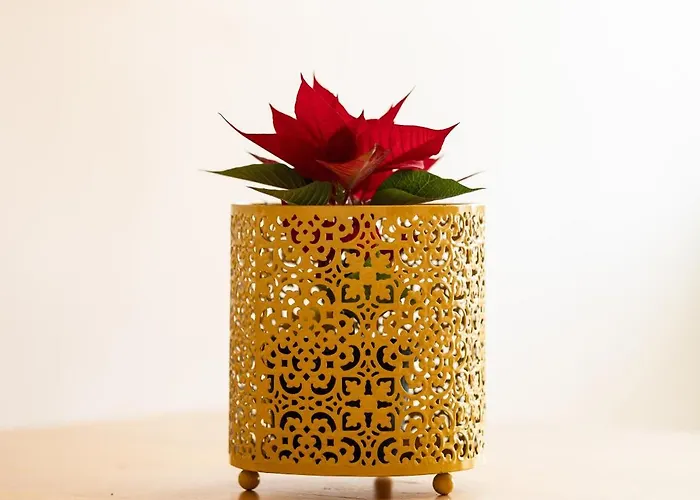 Family Friendly In The Center Apartmán *