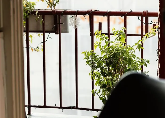 Apartmán Family Friendly In The Center